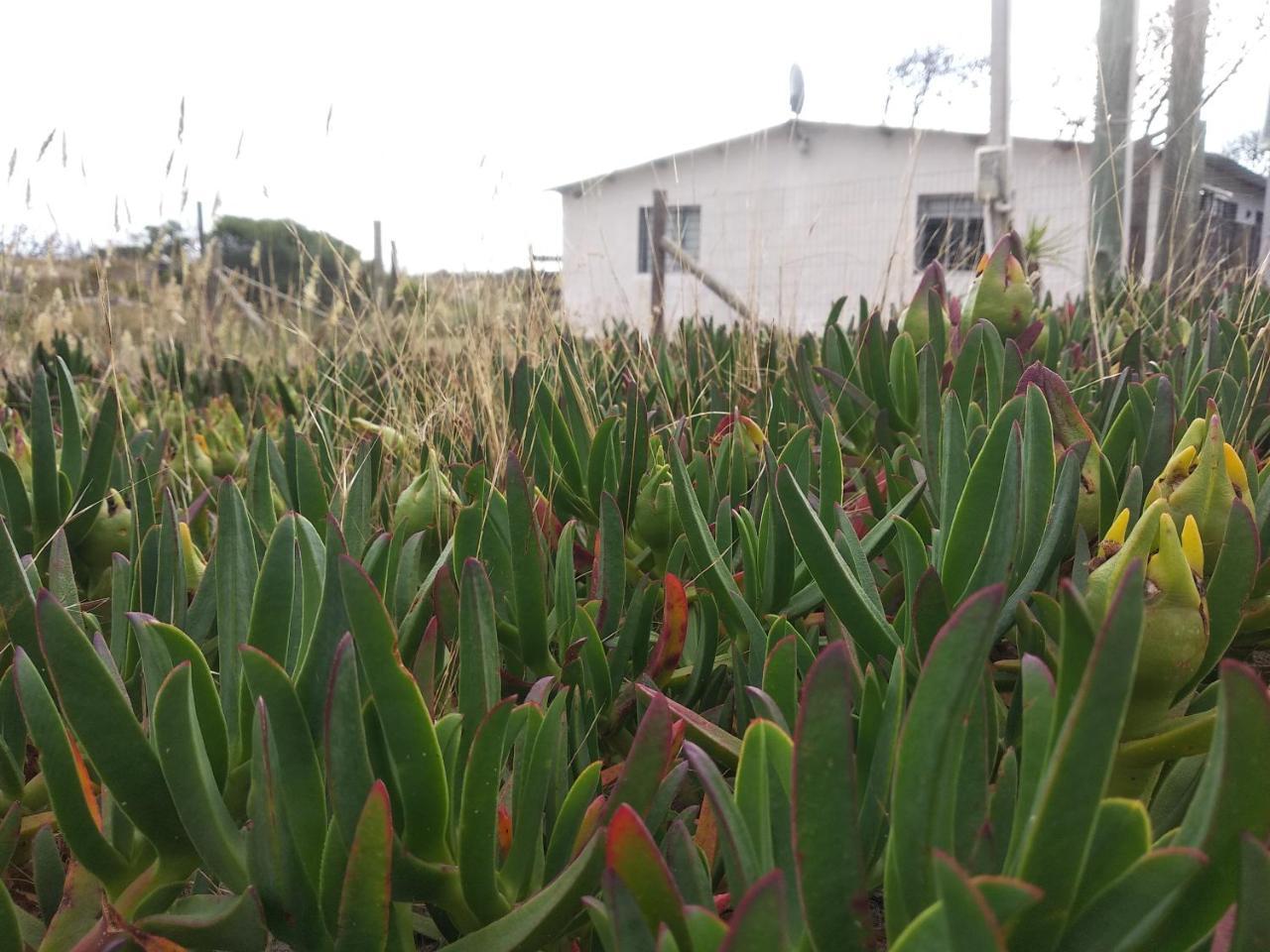 La Casa De Juan Cuchilla Alta Exterior foto
